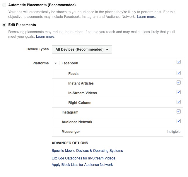 Boosterberg - Facebook Ads Academy - Manual FB Ad Placement Options
